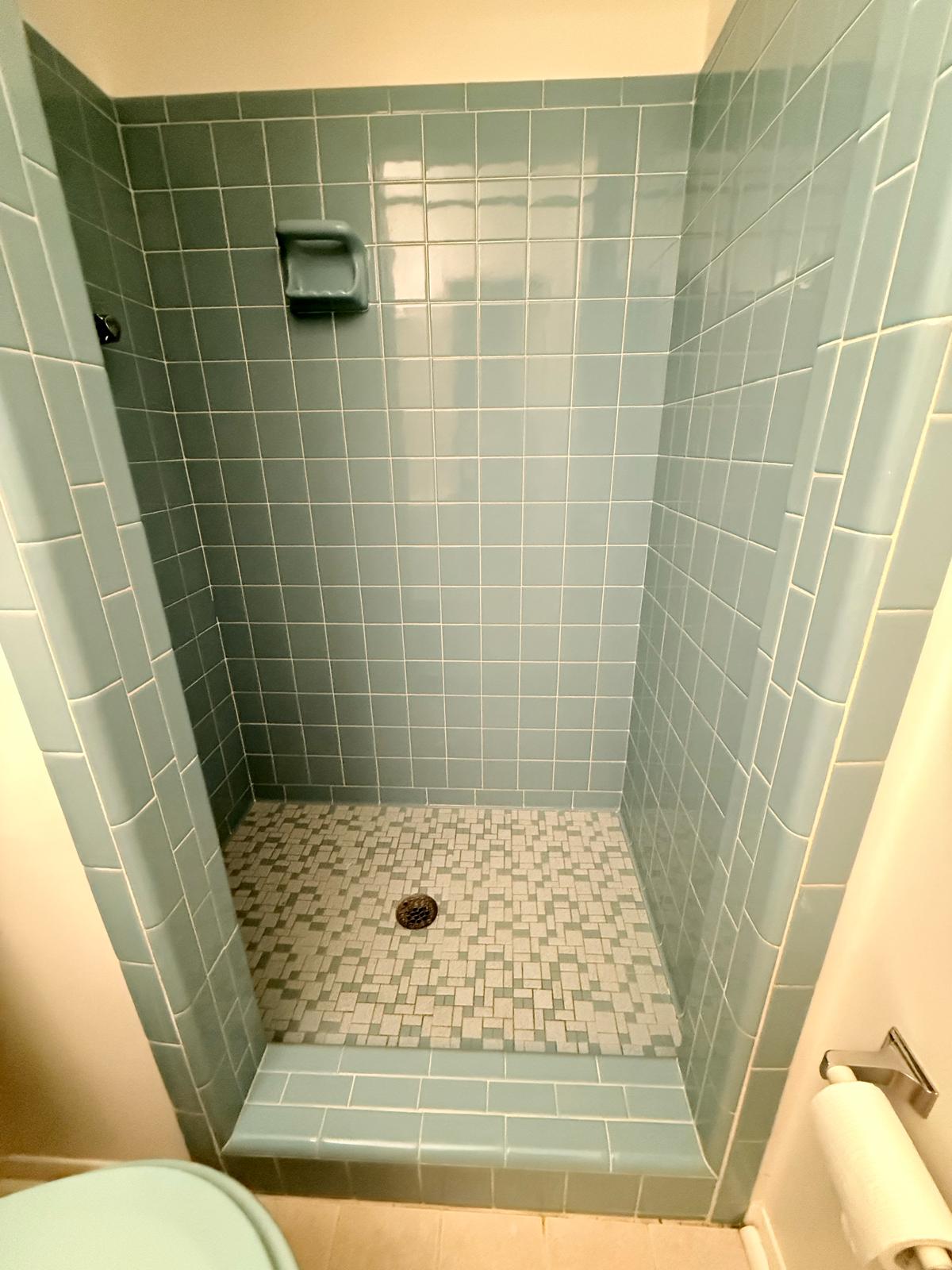 Bathroom Cleaning
